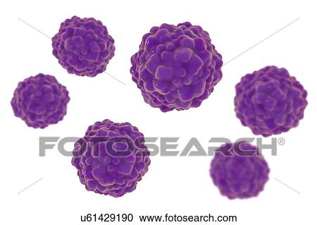 Stock Image - Transfusion transmitted virus (TTV) particles, computer illustration. This is a non-enveloped DNA (deoxyribonucleic acid) virus first identified in Japan in 1997. It has since been found to be near ubiquitous, causing chronic human infections, but is.... Fotosearch