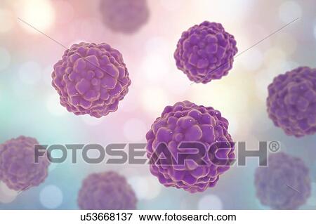 Stock Photo - Transfusion transmitted virus (TTV) particles, computer illustration. This is a non-enveloped DNA (deoxyribonucleic acid) virus first identified in Japan in 1997. It has since been found to be near ubiquitous, causing chronic human infections, but is.... Fotosearch