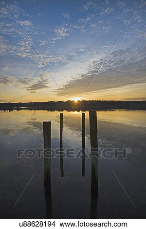 Picture - USA, Massachusetts, Cape Cod, Eastham, Mooring posts in lake at sunrise. Fotosearch