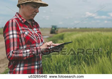 Stock Image - Using modern technology in agriculture.. Fotosearch