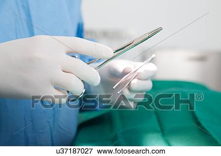 Vet holding surgery instruments View Large Photo Image Stock Photo - Vet holding surgery instruments. Fotosearch