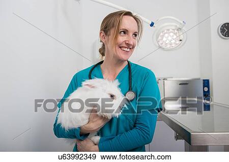 Stock Photo - Vets carrying angora rabbit. Fotosearch