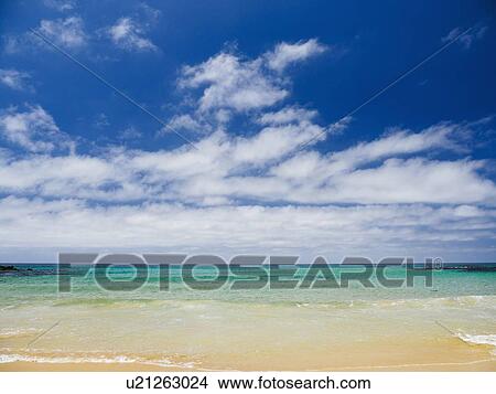 Picture - White clouds above sea and sandy beach. Fotosearch