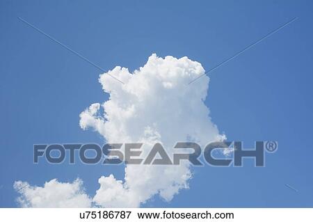 Stock Photo - White cumulus cloud on blue sky. Fotosearch