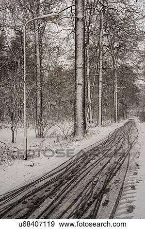 Winter scene in woods, Breda, Noord-Brabant, Netherlands View Large Photo Image Stock Photo - Winter scene in woods, Breda, Noord-Brabant, Netherlands. Fotosearch