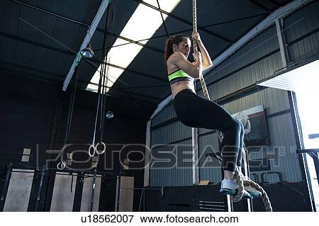 Woman exercising in gym, climbing rope View Large Photo Image Stock Photo - Woman exercising in gym, climbing rope. Fotosearch