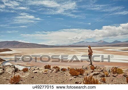 Woman standing, looking at view, Salar de Chiguana, Chiguana, Potosi, Bolivia, South America View Large Photo Image Stock Photography - Woman standing, looking at view, Salar de Chiguana, Chiguana, Potosi, Bolivia, South America. Fotosearch
