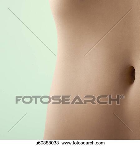 Woman's abdomen. View Large Photo Image Stock Image - Woman's abdomen.. Fotosearch