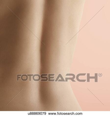 Stock Photo - Woman's back.. Fotosearch