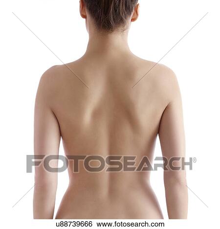 Woman's back. View Large Photo Image Stock Photograph - Woman's back.. Fotosearch