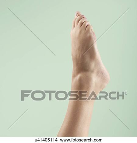 Picture - Woman's foot and ankle.. Fotosearch