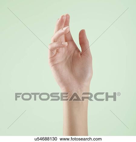 Stock Image - Woman's hand and wrist.. Fotosearch