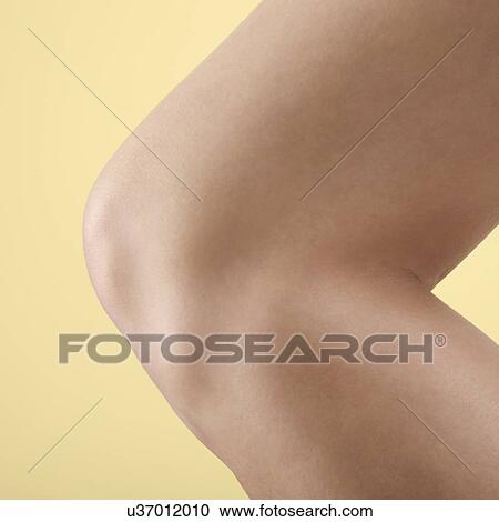 Woman's knee. View Large Photo Image Stock Image - Woman's knee.. Fotosearch