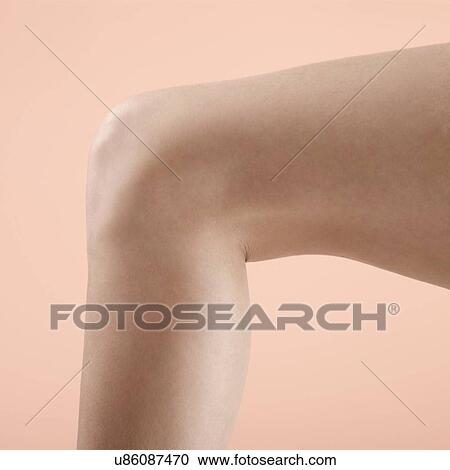 Woman's leg and knee. View Large Photo Image Stock Image - Woman's leg and knee.. Fotosearch