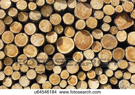 Woodpile. View Large Photo Image Picture - Woodpile.. Fotosearch
