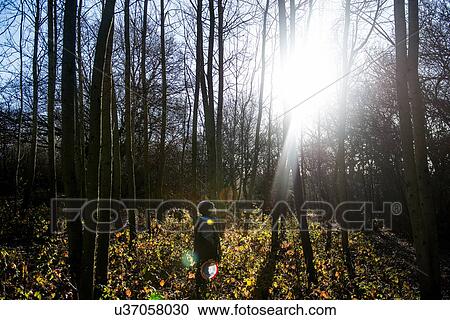 Stock Image - Young boy standing in forest, looking at sun through trees. Fotosearch