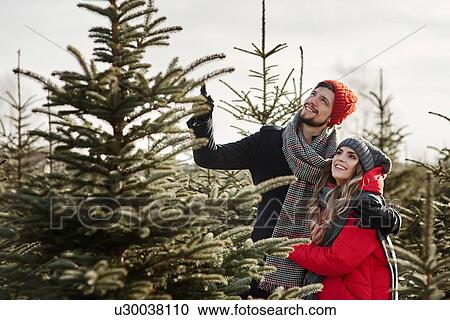 Stock Image - Young couple choosing a christmas tree from forest. Fotosearch