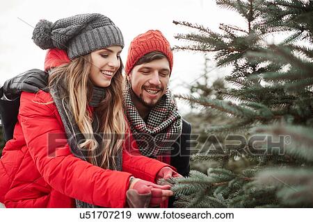 Stock Photo - Young couple looking at pine needles while shopping for christmas tree from forest. Fotosearch