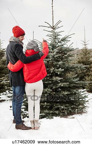 Stock Photo - Young couple selecting christmas tree from forest, rear view. Fotosearch