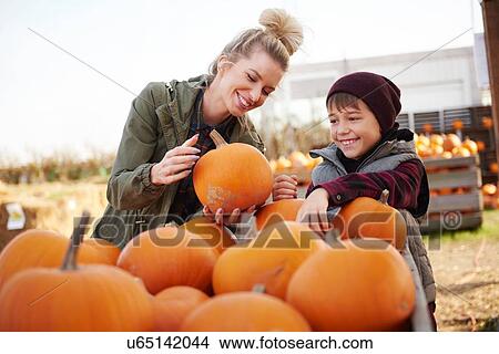 Young woman and boy selecting pumpkins in pumpkin patch field View Large Photo Image Picture - Young woman and boy selecting pumpkins in pumpkin patch field. Fotosearch