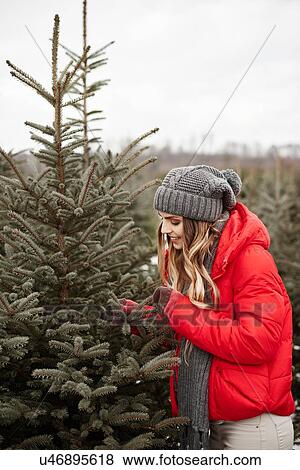 Stock Photo - Young woman looking at pine needles while shopping for christmas tree from forest. Fotosearch