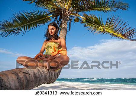 Young woman practicing lotus yoga pose on palm tree trunk at beach, Tulum, Quintana Roo, Mexico View Large Photo Image Stock Image - Young woman practicing lotus yoga pose on palm tree trunk at beach, Tulum, Quintana Roo, Mexico. Fotosearch