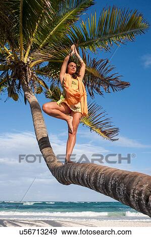 Young woman practicing tree yoga pose on palm tree trunk at beach, Tulum, Quintana Roo, Mexico View Large Photo Image Stock Photo - Young woman practicing tree yoga pose on palm tree trunk at beach, Tulum, Quintana Roo, Mexico. Fotosearch