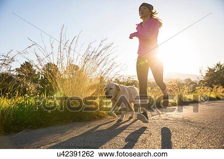 Young woman running along rural road with pet dog, low angle view View Large Photo Image Stock Image - Young woman running along rural road with pet dog, low angle view. Fotosearch