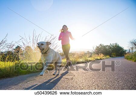 Young woman running along rural road with pet dog, low angle view View Large Photo Image Stock Photograph - Young woman running along rural road with pet dog, low angle view. Fotosearch