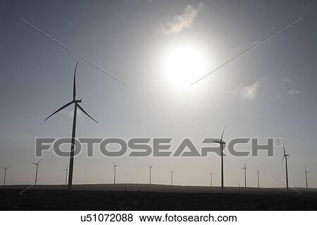 100 MW Sere windfarm in South Africa, owned by Eskom. Near Vredendal, Western Cape, South Africa View Large Photo Image Stock Photo - 100 MW Sere windfarm in South Africa, owned by Eskom. Near Vredendal, Western Cape, South Africa. Fotosearch