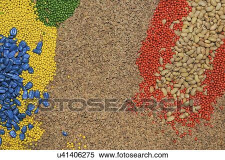 Stock Photography - Agricultural seed.. Fotosearch
