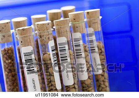 Picture - Agriculture research, conceptual image.. Fotosearch