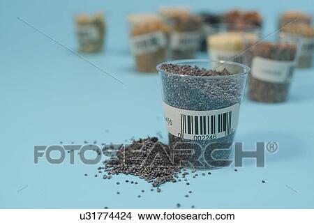 Picture - Agriculture research, conceptual image.. Fotosearch