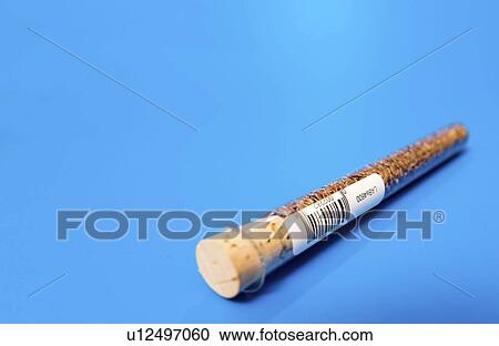 Agriculture research, conceptual image. View Large Photo Image Stock Image - Agriculture research, conceptual image.. Fotosearch