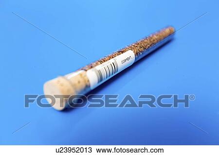 Stock Image - Agriculture research, conceptual image.. Fotosearch