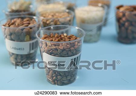 Stock Image - Agriculture research, conceptual image.. Fotosearch