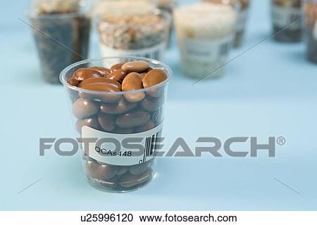 Stock Image - Agriculture research, conceptual image.. Fotosearch