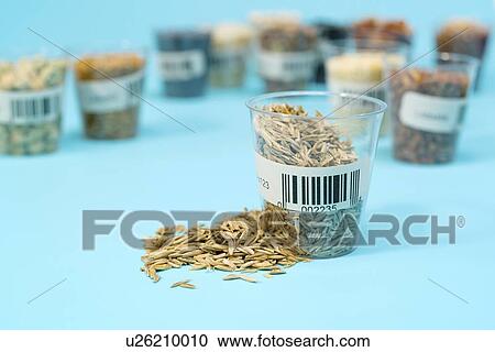 Agriculture research, conceptual image. View Large Photo Image Stock Image - Agriculture research, conceptual image.. Fotosearch