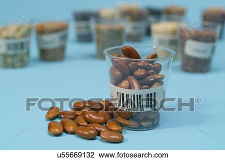 Stock Image - Agriculture research, conceptual image.. Fotosearch
