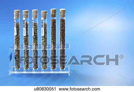 Stock Image - Agriculture research, conceptual image.. Fotosearch