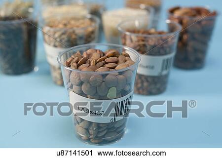 Agriculture research, conceptual image. View Large Photo Image Stock Image - Agriculture research, conceptual image.. Fotosearch