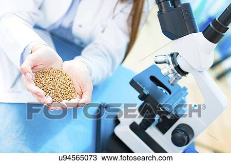 Stock Image - Agriculture research, conceptual image.. Fotosearch