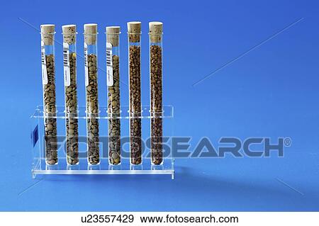 Stock Photo - Agriculture research, conceptual image.. Fotosearch