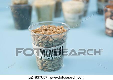 Agriculture research, conceptual image. View Large Photo Image Stock Photo - Agriculture research, conceptual image.. Fotosearch