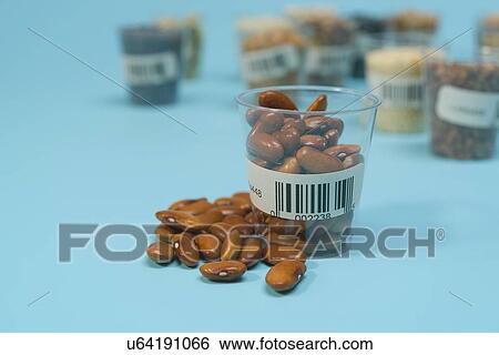 Stock Photograph - Agriculture research, conceptual image.. Fotosearch