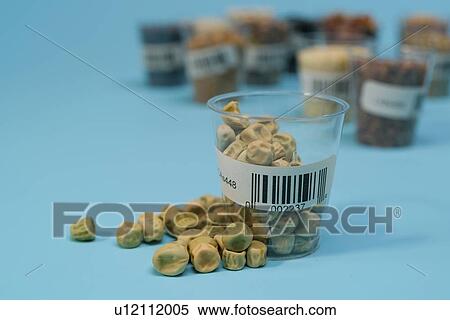 Stock Photography - Agriculture research, conceptual image.. Fotosearch