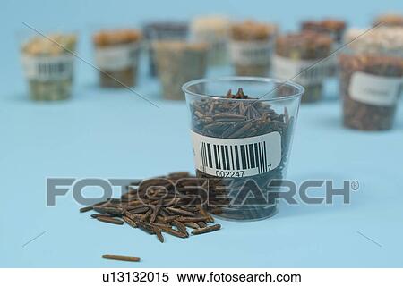 Stock Photography - Agriculture research, conceptual image.. Fotosearch