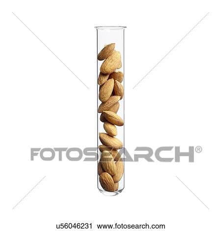 Stock Image - Almonds in test tube, studio shot.. Fotosearch