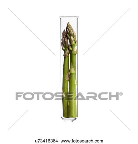 Picture - Asparagus in test tube, studio shot.. Fotosearch