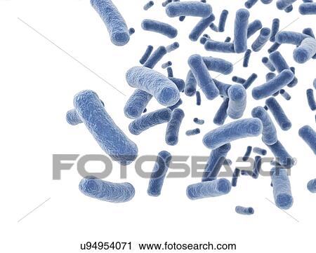 Bacteria, computer illustration. View Large Photo Image Stock Image - Bacteria, computer illustration.. Fotosearch